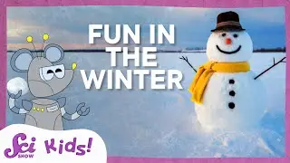 Winter Activities! | SciShow Kids Compilation