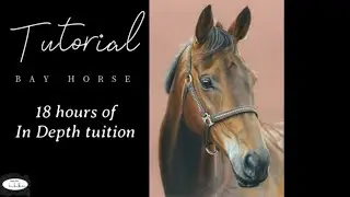 Bay Horse In Depth Tutorial - Watercolour Pencils - Promo