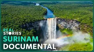 Surinam Asombrosa: Explorando El Paraíso Escondido | Real Stories en Español