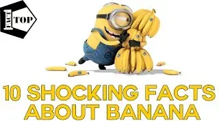 Banana Benefits -  If You Are Banana Lover Watch These 10 Shocking Facts - Health