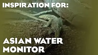 2 Real Asian Water Monitor Habitats! (Planet Zoo: Tropical Pack Inspiration)