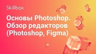 Основы веб-дизайна и обзор Фотошоп, Фигма и Скетч