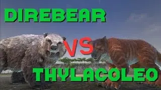 Thylacoleo vs Direbear! || ARK: Survival Evolved