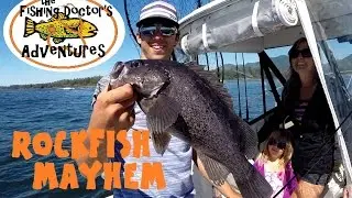 Crazy Buzz Bomb Black Rockfish Fishing Action