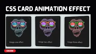 Animation Card Effect in Html & CSS | Card Effect | Card Animation