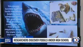 Los Angeles high school holds ancient secrets dating back 9 million years