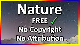 Nature Background Music No Copyright | No Attribution | Add Nature Effects To This Track