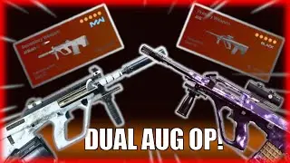 The AUG IS OVERPOWERED So I Brought 2 OF THEM! DUAL AUG IS INSANE! (Warzone AUG META!)