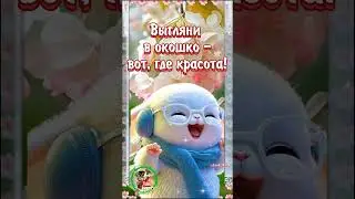 ☕️🍬 Доброе утречко! Хорошего денечка!