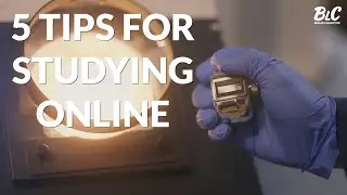 5 tips for effective online learning (from a Professor)