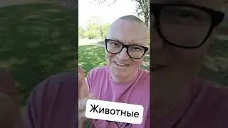 Психолог как мыслят животные