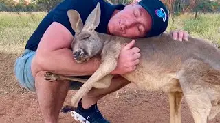 Love of animals moments that will cure your depression ❤️