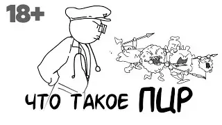 Что такое ПЦР?