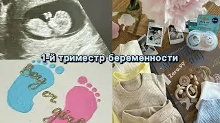 Первый триместр беременности. Снова будем родителями