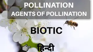 Agents of pollination | Biotic | by be educated in hindi