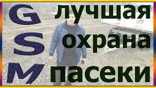 Лучшая охрана пасеки GSM сигнализация для пасеки защита пасеки пчеловодство пасека ульи мед пчелы
