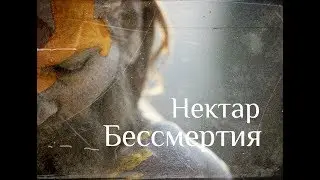 В отсутствие отождествления с телом, где ум - Нисаргадатта Махарадж. Нектар Бессмертия