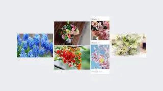 CSS Image Hover Effect | HTML & CSS