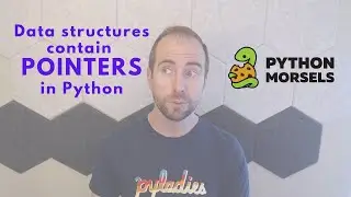 Data structures contain pointers in Python