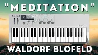 Waldorf Blofeld - 