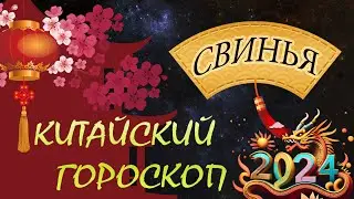 СВИНЬЯ (КАБАН)  в 2024 году/Восточный гороскоп для СВИНЬИ( КАБАНА) на 2024год / СВИНЬЯ В ГОД ДРАКОНА