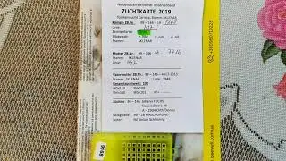 Скленар 47H47 від Фукса. Новий матеріал