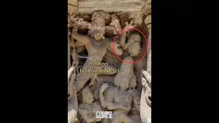 Angry Shiva Holding brahama's head 😱sculpture #shorts