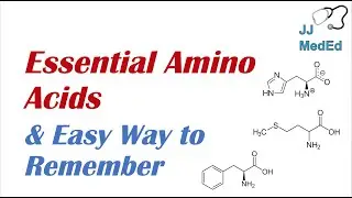 Essential Amino Acids | Mnemonic and Easy Way to Remember