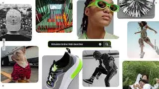 Search Bars - After Effects Template