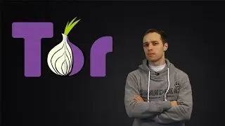 TOR browser / ТОР браузер / обзор. Всё что вам нужно знать о нём