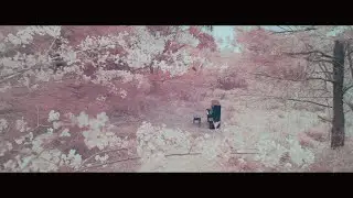 RADWIMPS - 鋼の羽根 [Official Music Video]