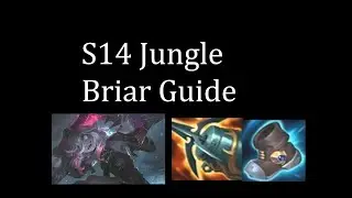 S14 Briar Jungle Guide