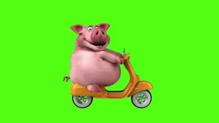 3D Cartoon Riding Bike Green Screen Animation video HD