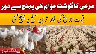 Murghi Ka Gosht Awam Ki Pohuch Se Dur | Breaking News | Express News
