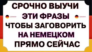 Выучи эти 50 Самых Простых Фраз на Немецком, Чтобы Начать Говорить Уже Сегодня! Немецкий язык с нуля