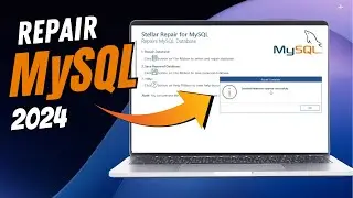 Best Way to Repair Corrupted MySQL Database in 2024