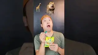 Aneka Binatang Yupi Safari🦒 