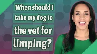 When should I take my dog to the vet for limping?