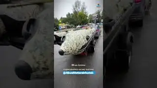 Лодка SOLAR 420 Киль — уехала на Байкал 🌊 #аквамоторс #fishingboat #fishing