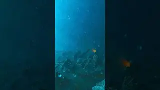 Sky Dive 