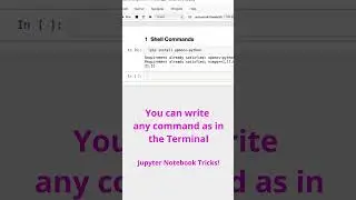 Use Shell Commands in Jupyter Notebook - Jupyter Tips & Tricks #jupyternotebook