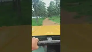 Passeio de buggy com ou sem emoção?