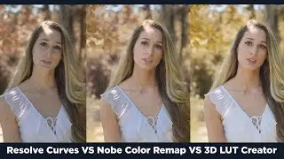 Davinci Resolve Curves VS Nobe Color Remap VS 3D Lut Creator - Incredible Results