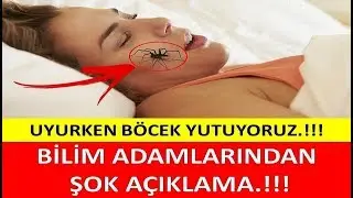 Uyku Sırasında Gerçekten Böcek Yutuyor Muyuz ?