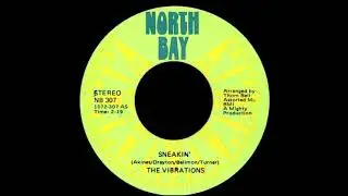 The Vibrations - When will my time come | SOUL SAMPLE