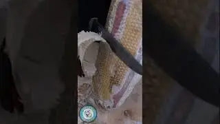 СТРОГАЕМ ЧИРА. СТРОГАНИНА из чира. ЧИР озёрный. 