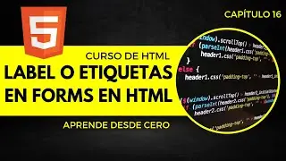 Curso de HTML 2023:  ¿Cómo y por qué usar la etiqueta `label` en HTML? | E16