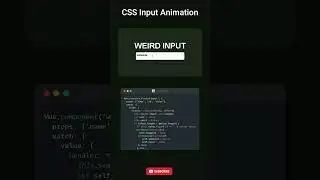 Input box animation using Html and css 