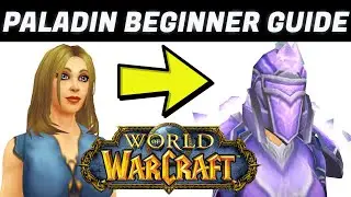 Complete Holy Paladin Beginners Guide (All You NEED To Know)