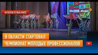 В области стартовал чемпионат молодых профессионалов